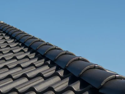 IBF_Dobbelt-S_sort_5