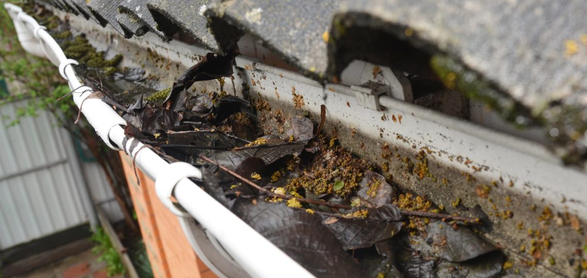 rensning af tagrender pris