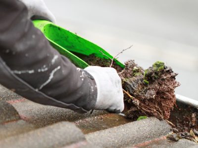 rensning af tagrender pris